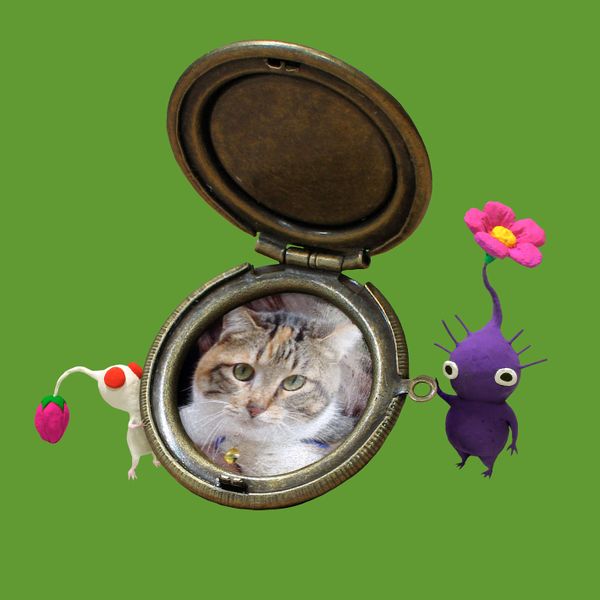 File:Pikmin and Time Capsule P2.jpg