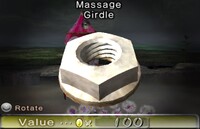 Massage Girdle 2.jpg
