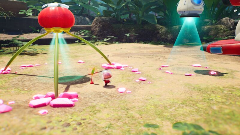 File:Pikmin 4 about to pluck.jpg