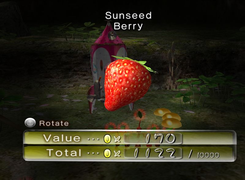 File:Sunseed Berry 2.jpg