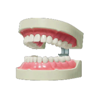 Icon for the Monster Teeth, from Pikmin 4's Treasure Catalog.