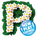 New Play Control! Pikmin