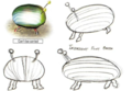 Drawings of the Iridescent Flint Beetle from the Pikmin Official Player's Guide.