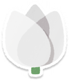 Lifelog artwork of a white tulip from Pikmin Bloom.