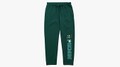 The Pikmin Logo Character Jogger Sweatpants.