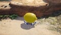 The treasure being carried by multiple Blue Pikmin.