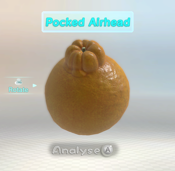 File:Pocked Airhead P3 analysis.png