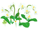 Texture for white moth orchid flowers on the map in Pikmin Bloom.
