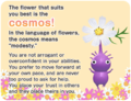 BloomFlowerQuizCosmos.png