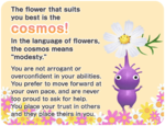 The cosmos result, from the Pikmin Bloom Flower Personality Quiz.