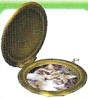 Artwork of the Time Capsule in the Japanese version of Pikmin 2.