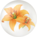 Red lilium nectar from Pikmin Bloom.