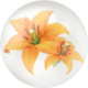Red lilium nectar from Pikmin Bloom.
