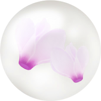 White cyclamen nectar icon.png