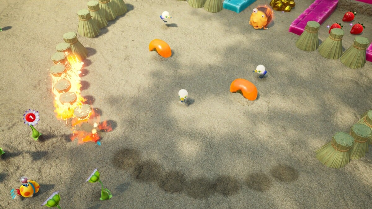 Hot Sandy Duel - Pikipedia, the Pikmin wiki