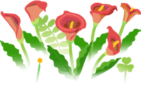 Red calla lily flowers icon.png