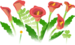 In-game texture for red calla lily flowers on the map in Pikmin Bloom.