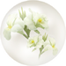 White canna lily nectar from Pikmin Bloom.