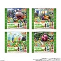 Four variants of the packaging.