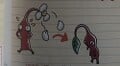 A Red Pikmin decreasing to the leaf stage from PIKMIN 2 Nekosogi Otakara Guide.
