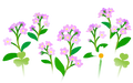 Thumbnail for version as of 02:38, May 1, 2026