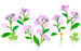 Texture for red forget-me-not flowers on the map in Pikmin Bloom.