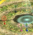Sprouts of the five main Pikmin species in Pikmin 3.