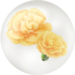 Icon for yellow carnation nectar from Pikmin Bloom.