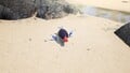 The treasure being carried by a pair of Blue Pikmin.