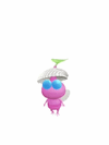 The new animation of a Winged Pikmin with a Shell from Pikmin Bloom.