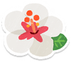 Lifelog artwork of a white hibiscus from Pikmin Bloom.