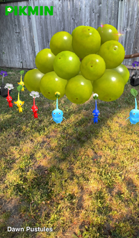 Pikmin Finder Dawn Pustules.png