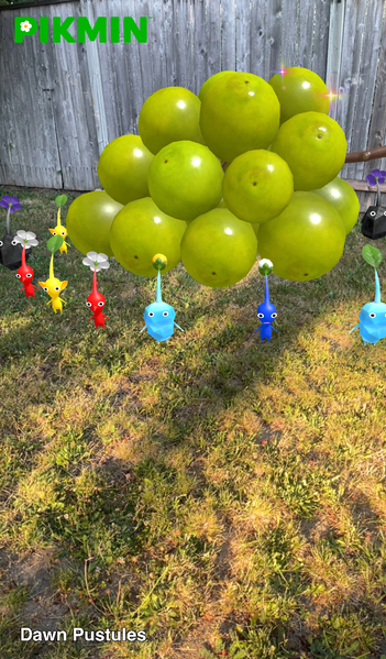 File:Pikmin Finder Dawn Pustules.png