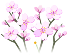White cherry blossom flowers icon.png