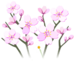 White cherry blossom flowers, as they appear on the map.
