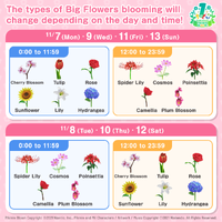 1st Anniversary Big Flower Schedule.png