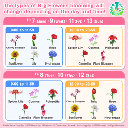 The schedule for the types of Big Flowers that bloomed during the 1st Anniversary Event in Pikmin Bloom.