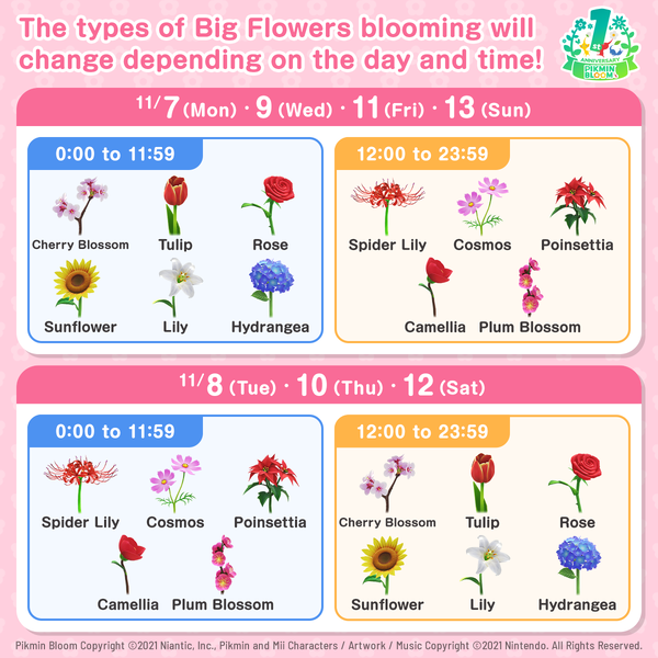 File:1st Anniversary Big Flower Schedule.png