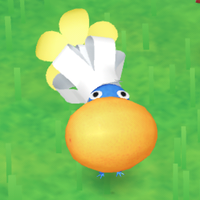 Kumquat Pikmin Bloom.png