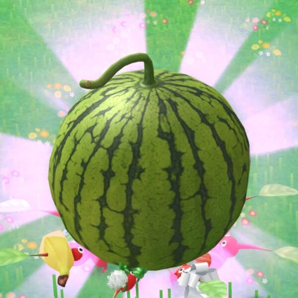File:Watermelon Pikmin Bloom.jpg