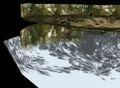 Pikmin water reflection.jpg