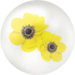 Icon for yellow windflower nectar.