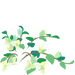 Texture for white bougainvillea flowers on the map in Pikmin Bloom.