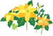 Texture for yellow poinsettia flowers on the map in Pikmin Bloom.