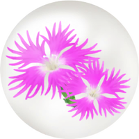 Red dianthus nectar icon.png