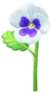 White pansy Big Flower icon.