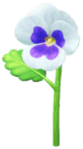 White pansy Big Flower icon.