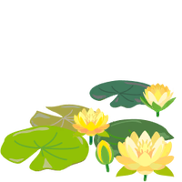 Yellow water lily flowers icon.png