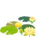 Texture for Yellow water lily flowers on the map in Pikmin Bloom.