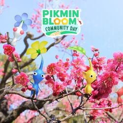 Promotional image for the February 2022 Community Day in Pikmin Bloom.
